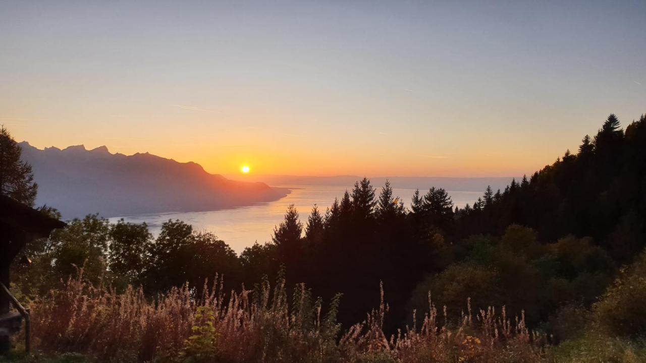 Bnb Belalp Монтрьо Екстериор снимка